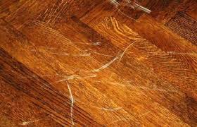 Cửa bị trầy xước hoặc bám bẩn